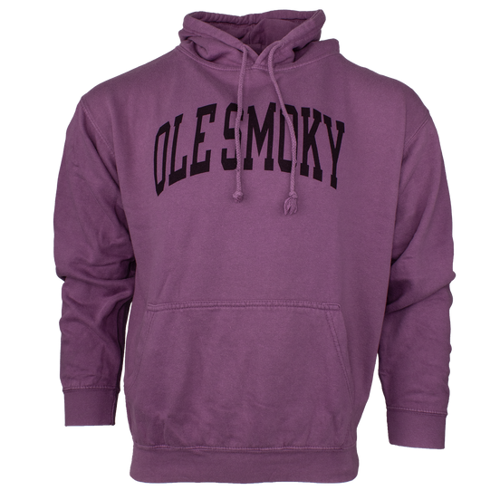 ARCH TEXT HOODIE - GARNET