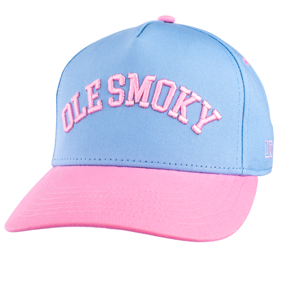 ARCH TEXT HAT - BLUE/PINK view 1