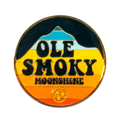 STARRY NIGHT CIRCLE PIN