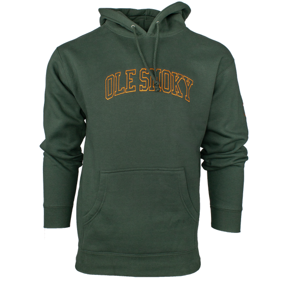 ARCH HOODIE - ALPINE view 1